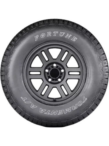fortune_fsr308_2.png_153172f9921f88e3120629e40d444ccc_202929